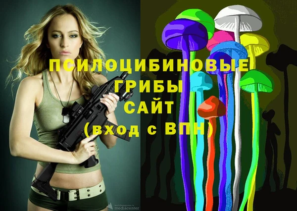 круглые Алексеевка