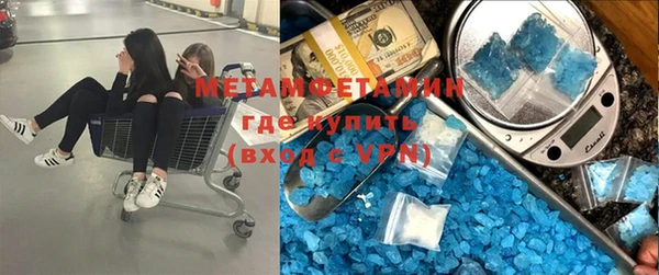 шишки Абаза