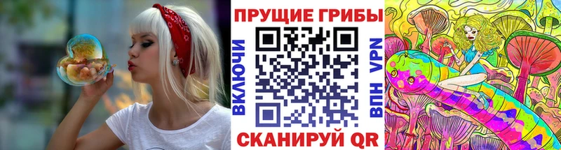Псилоцибиновые грибы прущие грибы  блэк спрут как зайти  Мантурово 